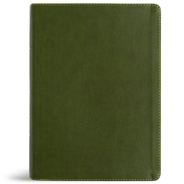 Cover image for NASB Study Bible, Olive Leathertouch, Indexed, isbn: 9798384540403