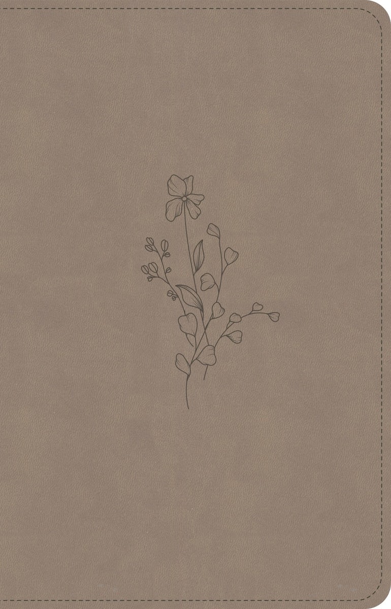 Cover image for CSB Personal Size Bible, Digital Study Edition, Earth Suedesoft Leathertouch, isbn: 9798384540410