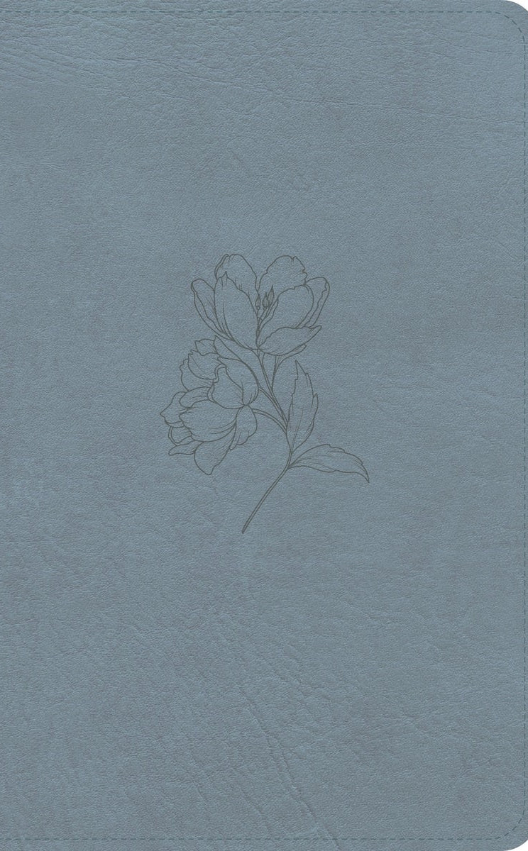 Cover image for CSB Personal Size Bible, Digital Study Edition, Blue Leathertouch, isbn: 9798384540427