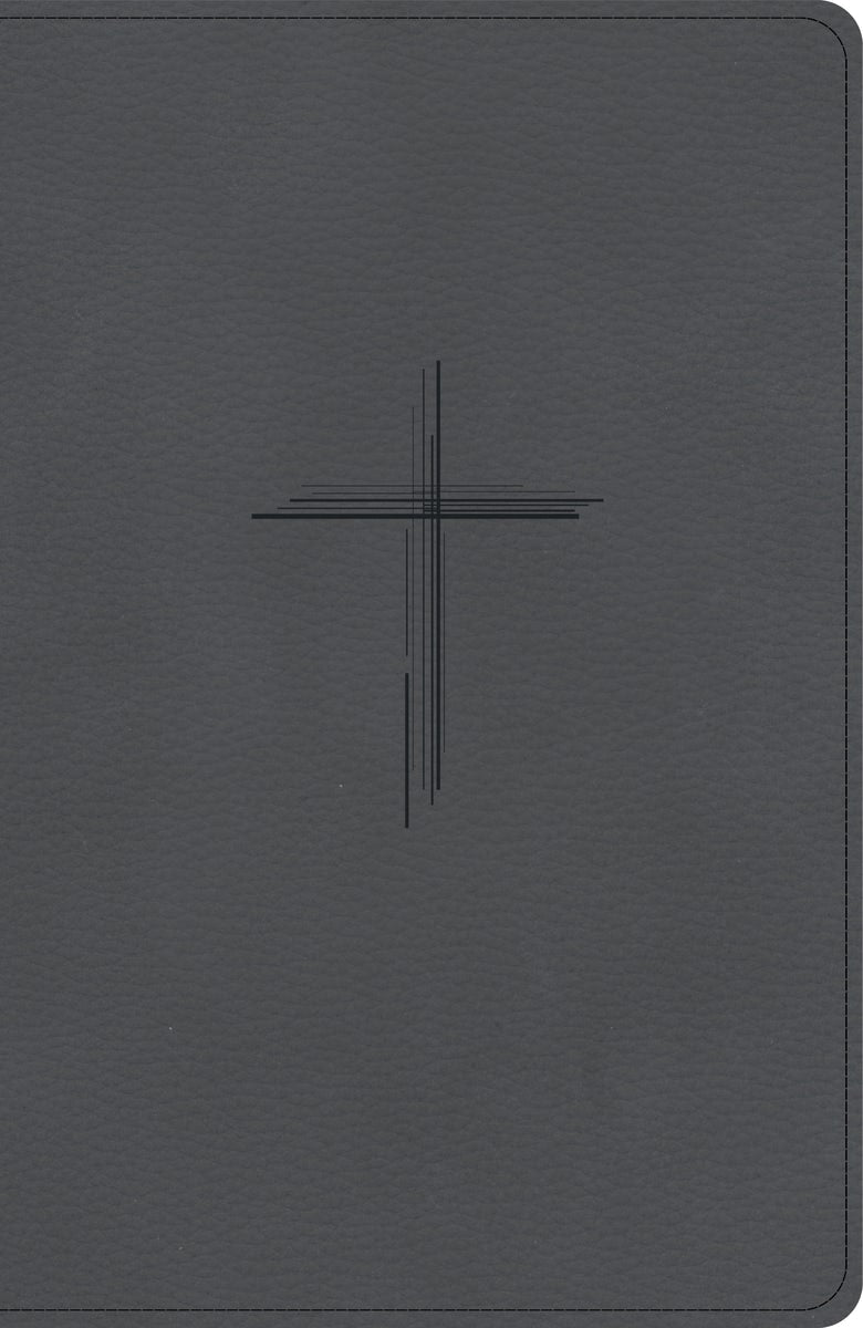 Cover image for CSB Personal Size Giant Print Bible, Digital Study Edition, Charcoal Suedesoft Leathertouch, isbn: 9798384540717