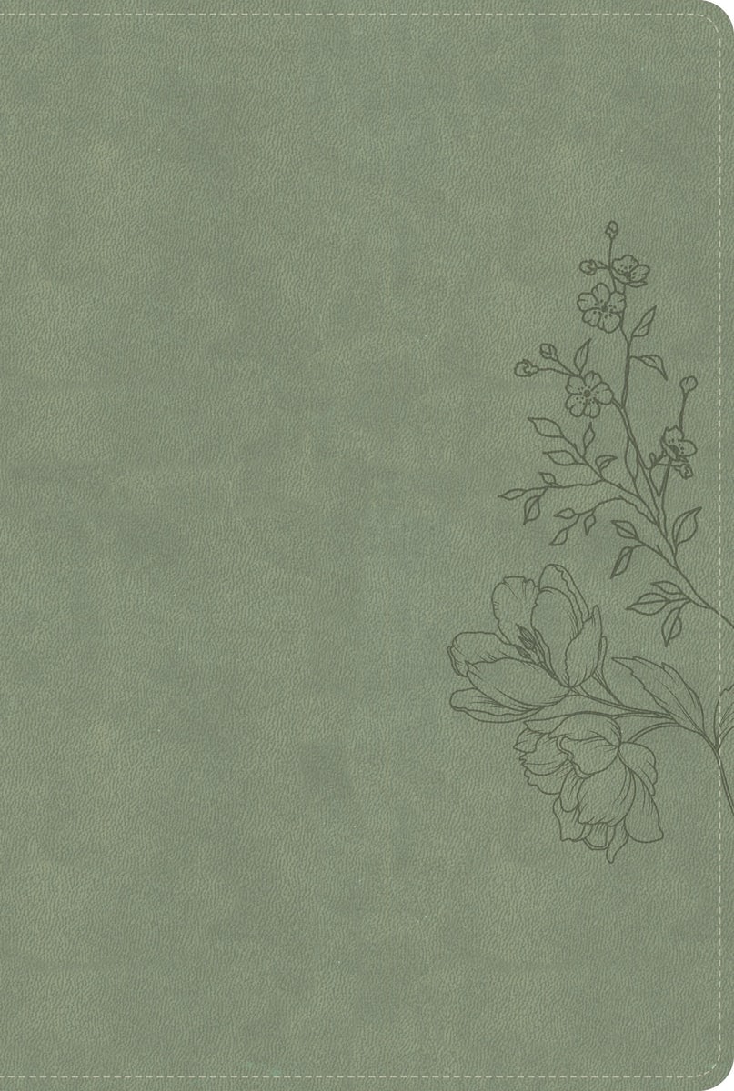 Cover image for CSB Large Print Thinline Bible, Digital Study Edition, Sage Suedesoft Leathertouch, isbn: 9798384540762