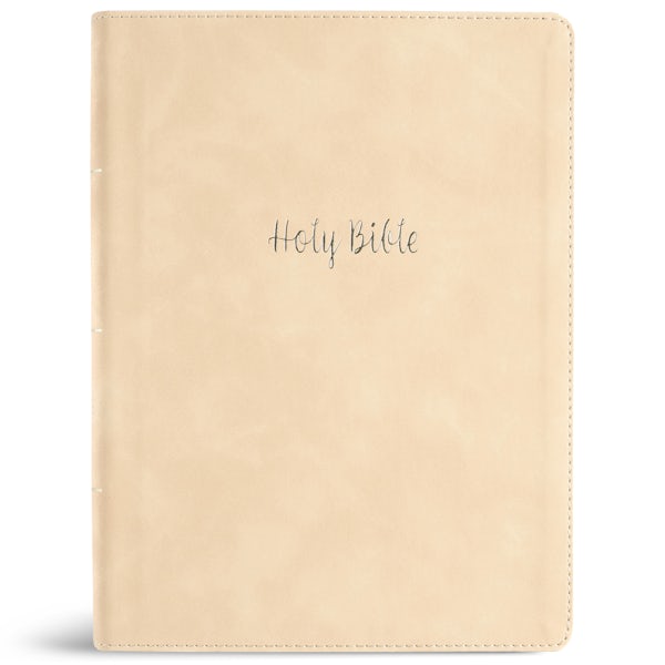 Cover image for CSB Verse-By-Verse Reference Bible, Digital Study Edition, Cream Leathertouch, isbn: 9798384540779