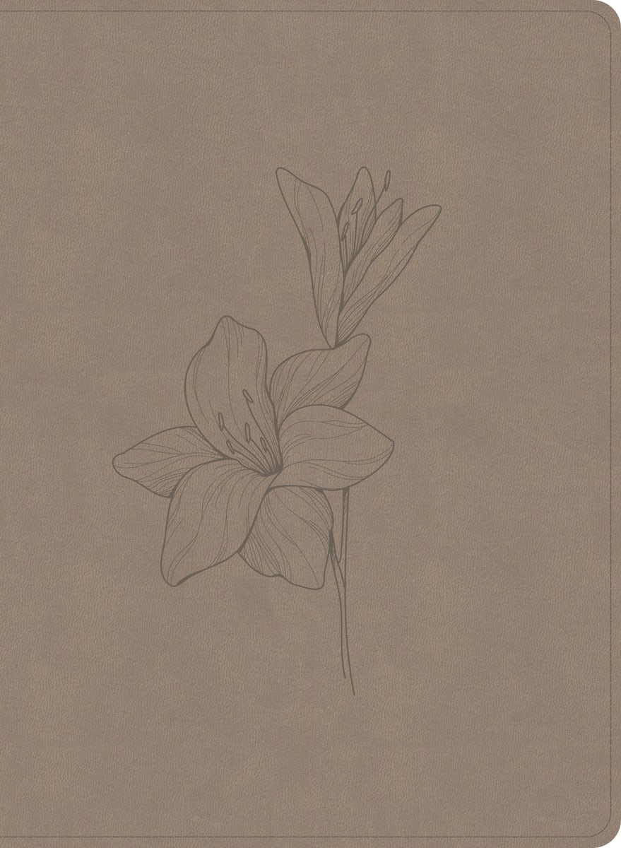 Cover image for CSB Verse-By-Verse Reference Bible, Digital Study Edition, Earth Suedesoft Leathertouch, isbn: 9798384540786