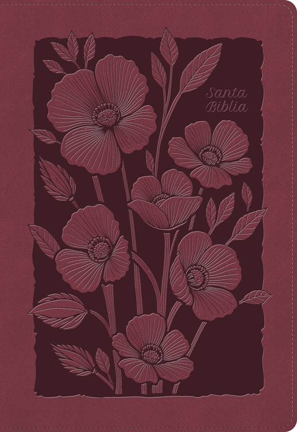 Cover image for Rvr 1960 Biblia Para Regalos Y Premios, Rub� Floral, S�mil Piel, isbn: 9798384542896