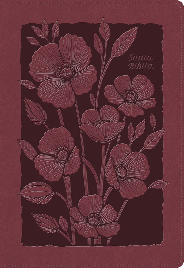 Cover image for Rvr 1960 Biblia Para Regalos Y Premios, Rub� Floral, S�mil Piel, isbn: 9798384542896