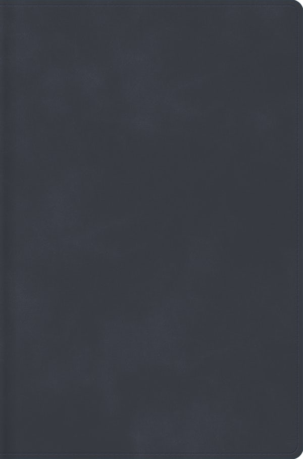 Cover image for Rvr 1960 Biblia Descubre Tu Fe, Gris Azulado, S�mil Piel, isbn: 9798384542926