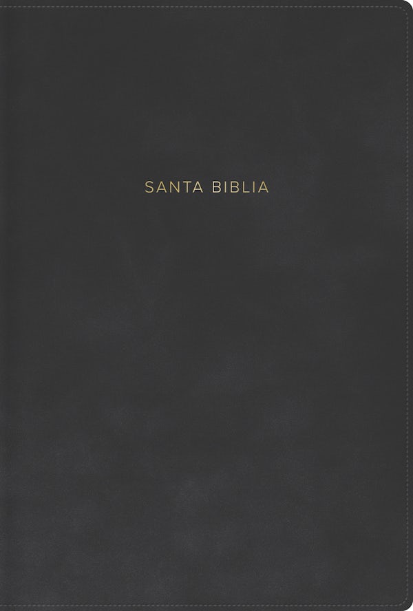 Cover image for Rvr 1960 Biblia Letra Grande, Tama�o Manual, Gris, S�mil Piel, isbn: 9798384543015