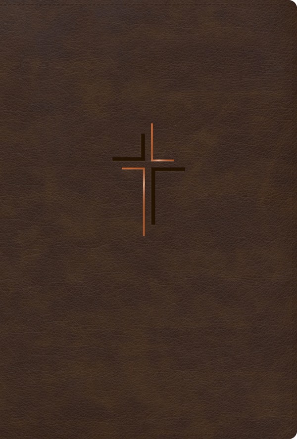Cover image for Rvr 1960 Biblia Letra Grande, Tama�o Manual, Edici�n Especial, Caf� Tierra, S�mil Piel, isbn: 9798384544340