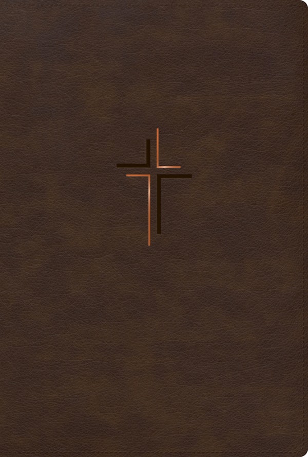 Cover image for Rvr 1960 Biblia Letra Grande, Tama�o Manual, Edici�n Especial, Caf� Tierra, S�mil Piel, isbn: 9798384544340