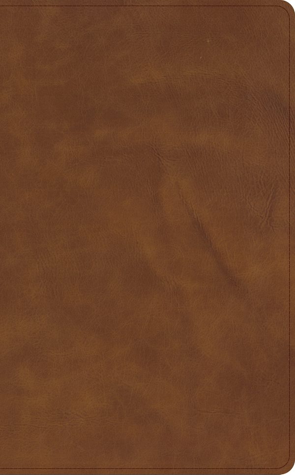 Cover image for CSB Single-Column Wide-Margin Bible, Holman Handcrafted Collection, Marbled Tan Premium Calfskin, isbn: 9798384546078