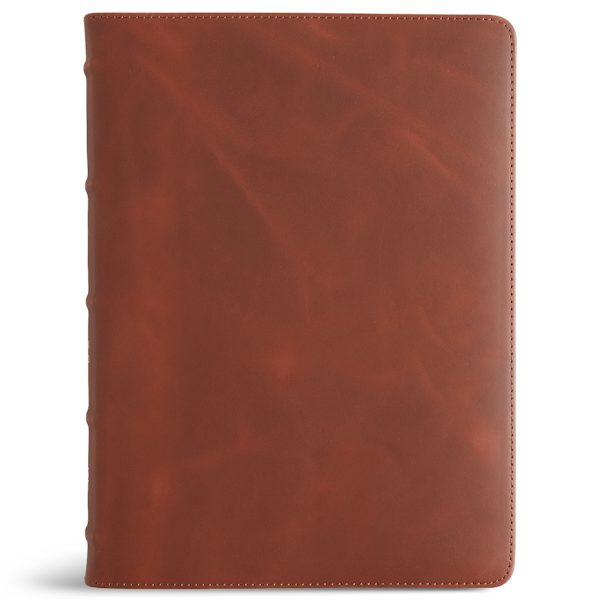 Cover image for CSB Single-Column Wide-Margin Bible, Holman Handcrafted Collection, Marbled Tan Premium Calfskin, isbn: 9798384546078