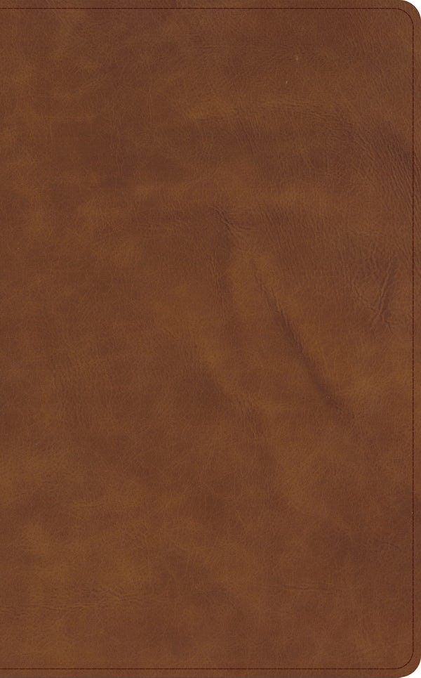 Cover image for CSB Single-Column Wide-Margin Bible, Holman Handcrafted Collection, Marbled Tan Premium Calfskin, isbn: 9798384546078