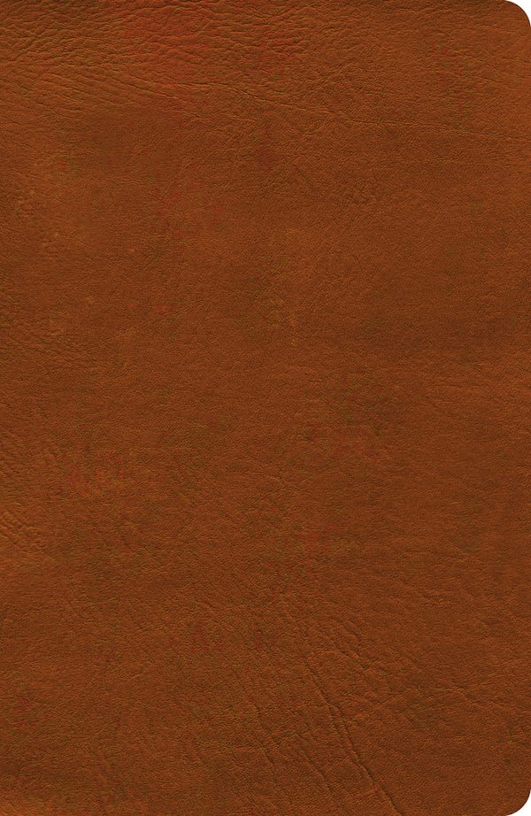 Cover image for NASB Verse-By-Verse Reference Bible, Burnt Sienna Leathertouch, isbn: 9798384546085