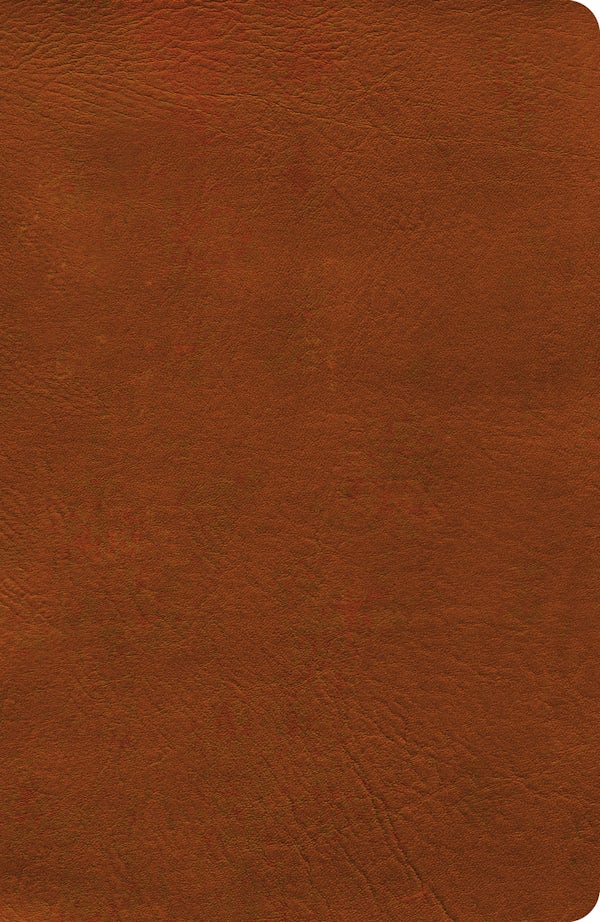 Cover image for NASB Verse-By-Verse Reference Bible, Burnt Sienna Leathertouch, isbn: 9798384546085
