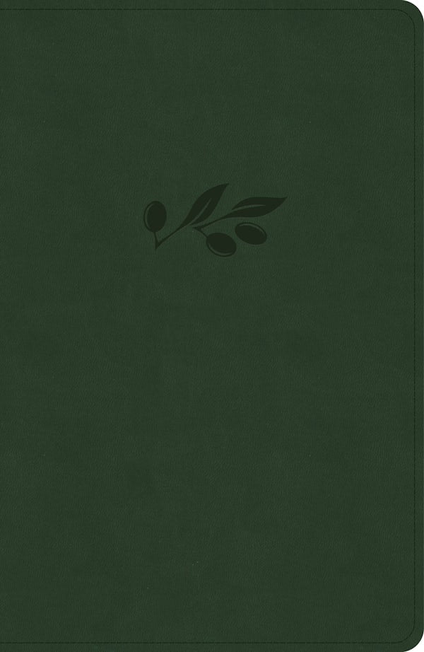 Cover image for NASB Verse-By-Verse Reference Bible, Olive Leathertouch, isbn: 9798384546108