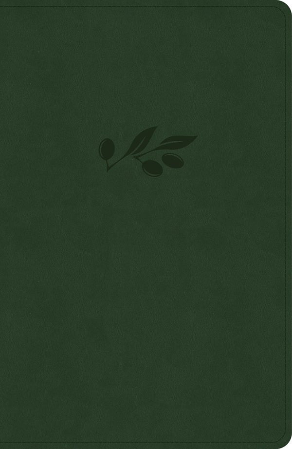 Cover image for NASB Verse-By-Verse Reference Bible, Olive Leathertouch, isbn: 9798384546108