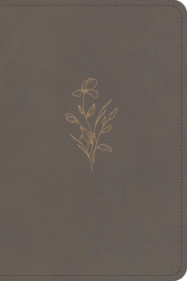 Cover image for KJV Large Print Compact Reference Bible, Clay Leathertouch, isbn: 9798384546122