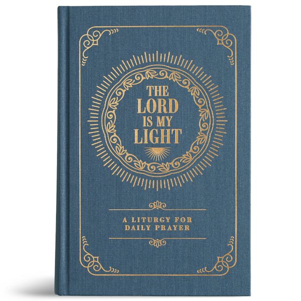 Cover image for The Lord Is My Light, isbn: 9798384547884
