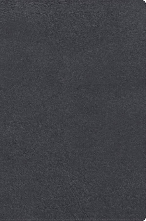 Cover image for Rvr 1960 Biblia de Estudio Letra Gigante, Gris, S�mil Piel Con �ndice, isbn: 9798384548164