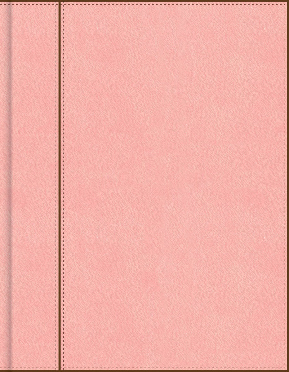 Cover image for CSB Notetaking Bible, Pink Leathertouch, isbn: 9798384552796