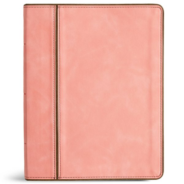 Cover image for CSB Notetaking Bible, Pink Leathertouch, isbn: 9798384552796