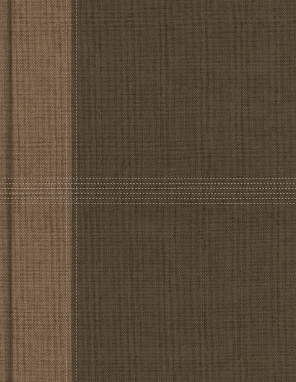 Cover image for NASB Notetaking Bible, Large Print Edition, Brown Cloth Over Board, isbn: 9798384552895