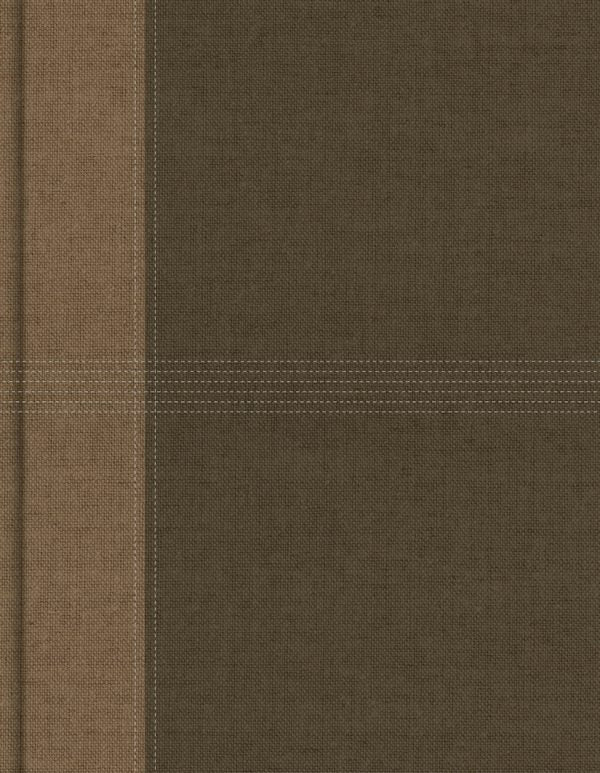 Cover image for NASB Notetaking Bible, Large Print Edition, Brown Cloth Over Board, isbn: 9798384552895