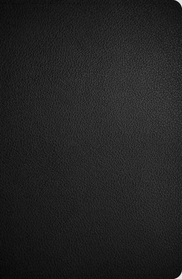 Cover image for CSB Giant Print Reference Bible, Optimal Type, Digital Study Edition, Black Genuine Leather, isbn: 9798384552918