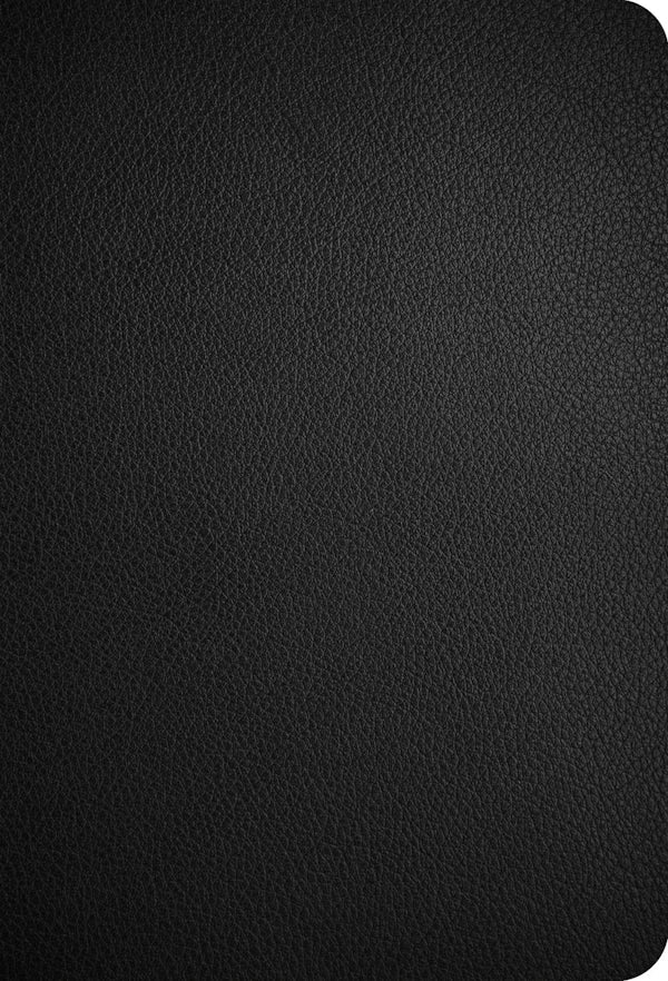 Cover image for CSB Large Print Compact Reference Bible, Optimal Type, Digital Study Edition, Black Genuine Leather, isbn: 9798384552970