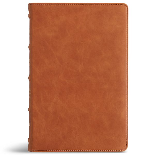 Cover image for CSB Thinline Bible, Optimal Type, Holman Handcrafted Collection, Marbled Chestnut Premium Calfskin, isbn: 9798384553090