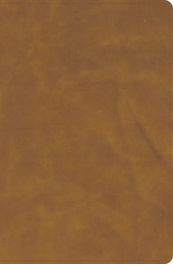 Cover image for KJV Personal Size Bible, Holman Handcrafted Collection, Zipper Closure, Marbled Chestnut Premium Calfskin, isbn: 9798384553113