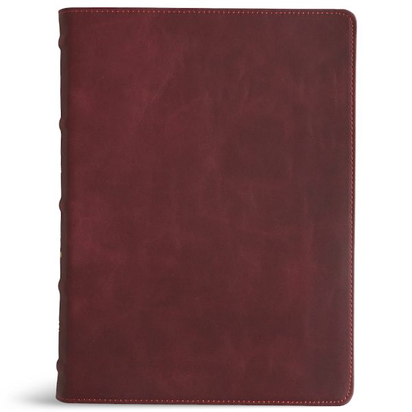 Cover image for KJV Single-Column Wide-Margin Bible, Holman Handcrafted Collection, Marbled Burgundy Premium Calfskin, isbn: 9798384553137