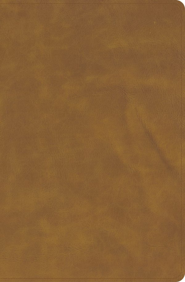 Cover image for KJV Single-Column Wide-Margin Bible, Holman Handcrafted Collection, Marbled Chestnut Premium Calfskin, isbn: 9798384553144