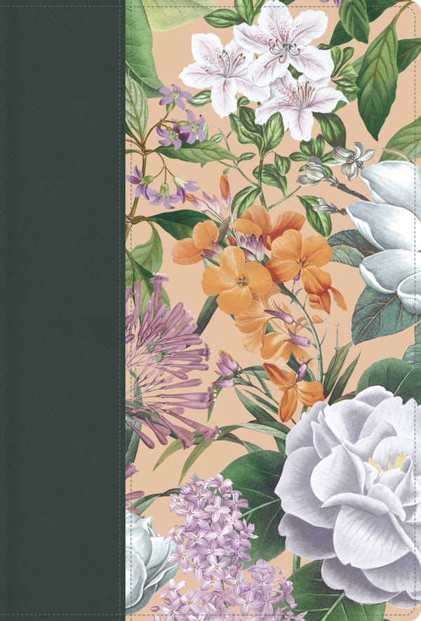 Cover image for Rvr 1960 Letra Grande Tama�o Manual, Edici�n Especial, Verde Jard�n, S�mil Piel, isbn: 9798384555476