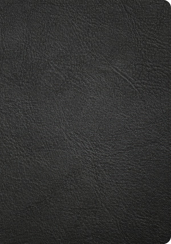 Cover image for CSB Apologetics Study Bible, Revised & Updated, Easy-To-Read Optimal Type, Black Genuine Leather, isbn: 9798384557142