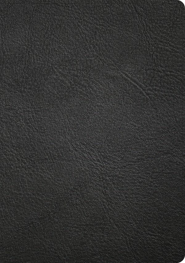 Cover image for CSB Apologetics Study Bible, Revised & Updated, Easy-To-Read Optimal Type, Black Genuine Leather, Indexed, isbn: 9798384557159