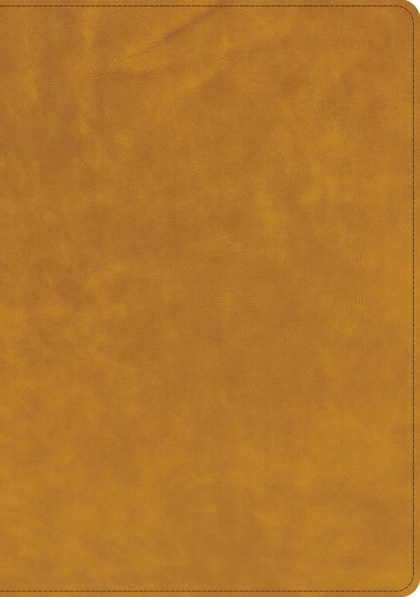 Cover image for CSB Lumen Dei Bible, Lux Vitae: Single-Column Verse-By-Verse Reference Edition, Holman Handcrafted Collection, Easy-To-Read Optimal Type, Tuscany Premium Calfskin, isbn: 9798384557340