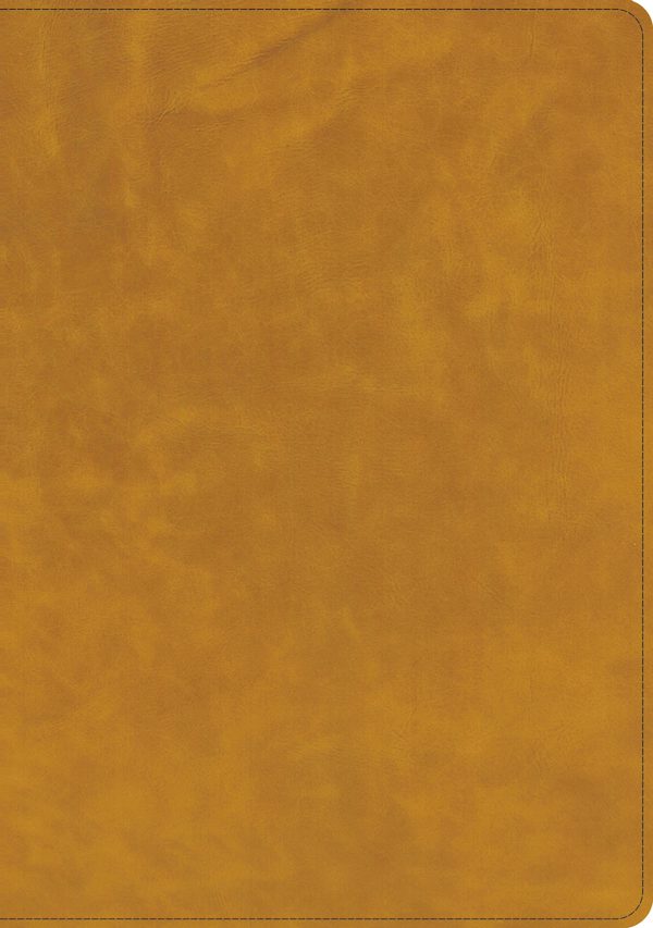 Cover image for CSB Lumen Dei Bible, Lux Vitae: Single-Column Verse-By-Verse Reference Edition, Holman Handcrafted Collection, Easy-To-Read Optimal Type, Tuscany Premium Calfskin, isbn: 9798384557340