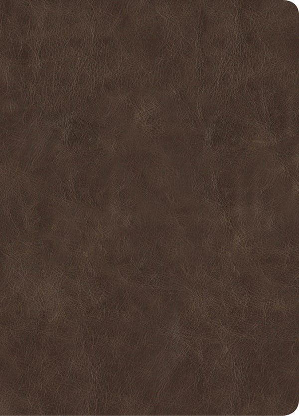 Cover image for CSB Lumen Dei Bible, Lux Gloriae: Single-Column Wide-Margin Edition, Holman Handcrafted Collection, Easy-To-Read Optimal Type, Marbled Brown Premium Goatskin, isbn: 9798384557357