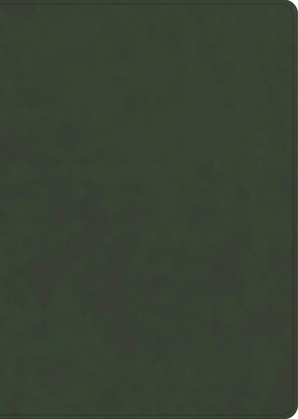 Cover image for CSB Lumen Dei Bible, Lux Gloriae: Single-Column Wide-Margin Edition, Holman Handcrafted Collection, Easy-To-Read Optimal Type, Waxed Olive Premium Cowhide, isbn: 9798384557364