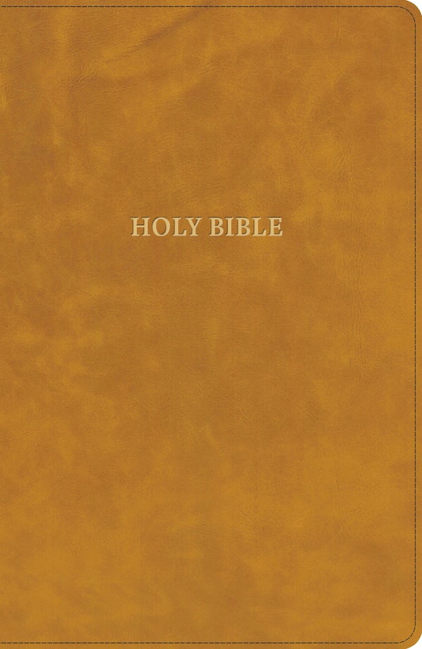Cover image for CSB Grace Bible, Camel Leathertouch (Dyslexia Friendly), isbn: 9798384557456