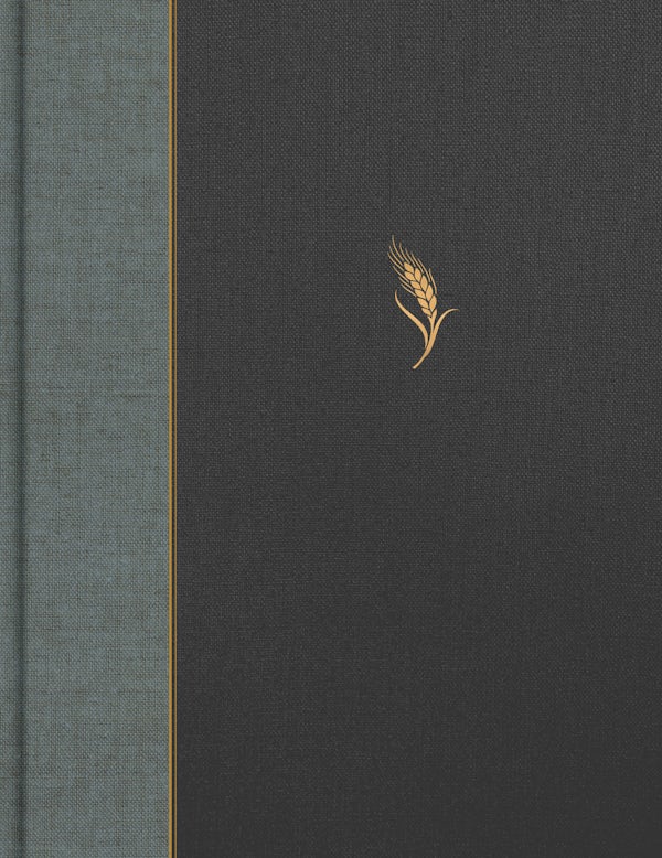 Cover image for CSB Notetaking Bible, Expanded Reference Edition, Gray/Charcoal Cloth Over Board, isbn: 9798384557487