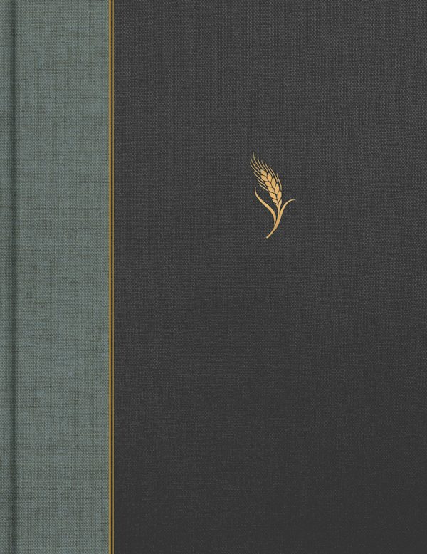 Cover image for CSB Notetaking Bible, Expanded Reference Edition, Gray/Charcoal Cloth Over Board, isbn: 9798384557487