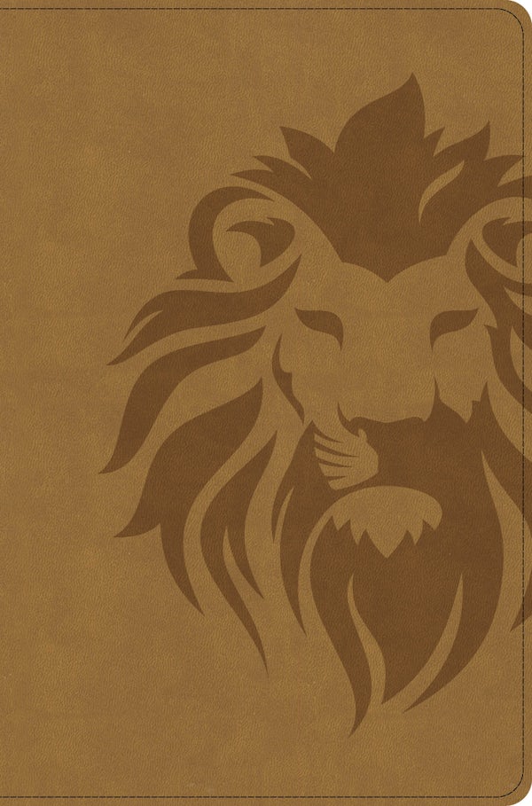 Cover image for CSB One Big Story Bible, Revised & Updated, Easy-To-Read Optimal Type, Brown Lion Leathertouch, isbn: 9798384557609