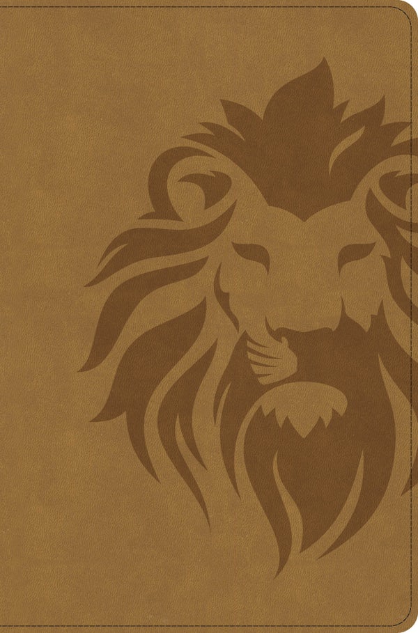 Cover image for CSB One Big Story Bible, Revised & Updated, Easy-To-Read Optimal Type, Brown Lion Leathertouch, Indexed, isbn: 9798384557616