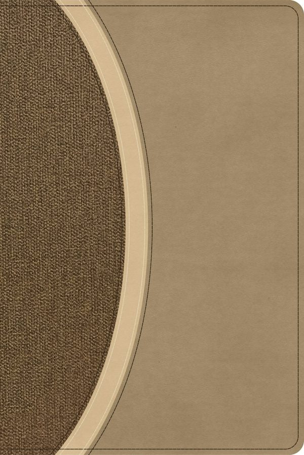 Cover image for CSB Rainbow Study Bible, Brown Leathertouch, isbn: 9798384557760