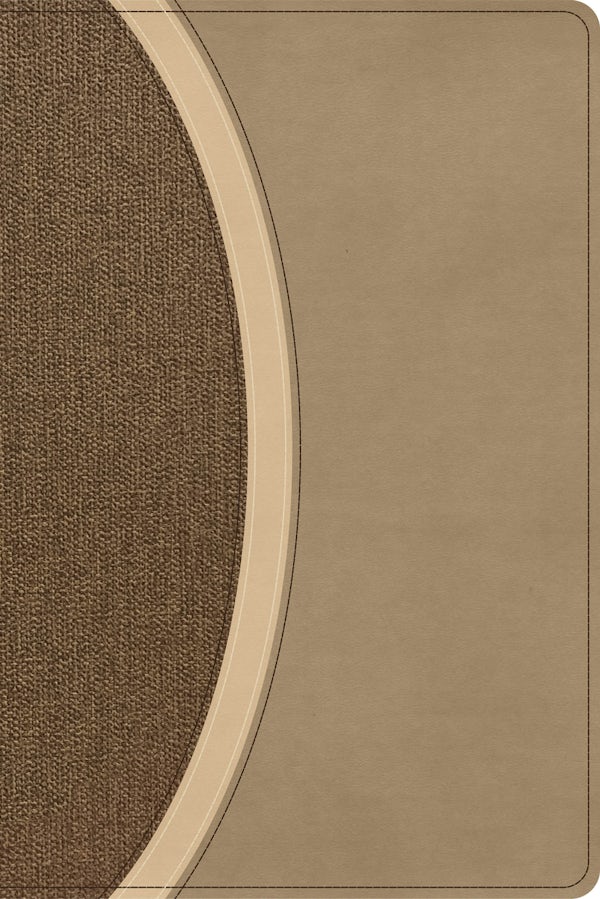 Cover image for CSB Rainbow Study Bible, Brown Leathertouch, Indexed, isbn: 9798384557777