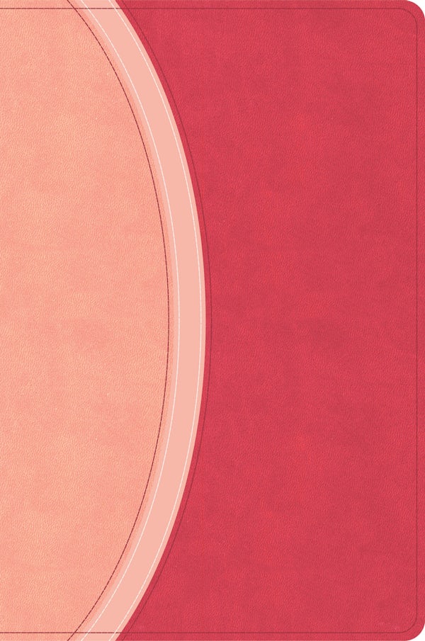 Cover image for CSB Rainbow Study Bible, Pink Leathertouch, isbn: 9798384557784