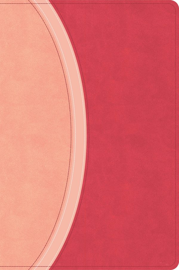 Cover image for CSB Rainbow Study Bible, Pink Leathertouch, isbn: 9798384557784