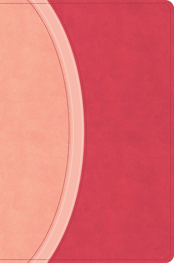Cover image for CSB Rainbow Study Bible, Pink Leathertouch, Indexed, isbn: 9798384557791